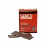 Best reviews of 🤩 Senco SENRX15EAA Straight Brad Nails Galvanised 16G X 32mm (Pack 2000) ⭐ -Tacwise Sales Store SENRX15EAA 73174.1663687676